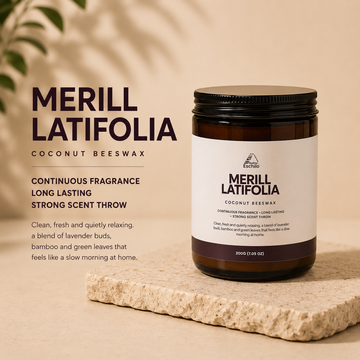 Merill Latifolia Coconut Beeswax Candle